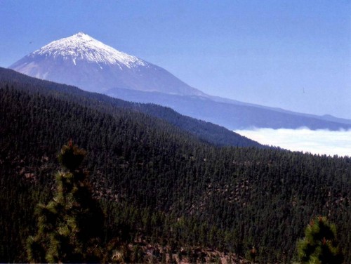 tenerife001_Small