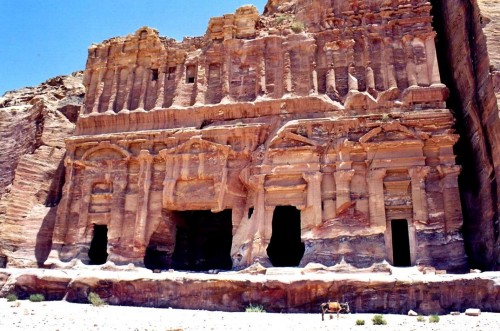 PETRA003_Small