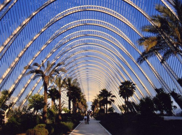 valencia005