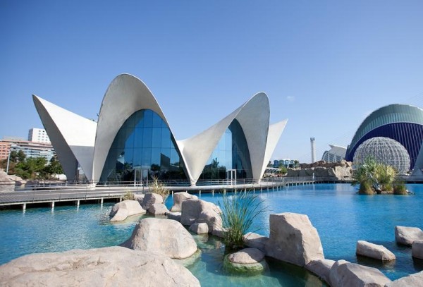 valencia006