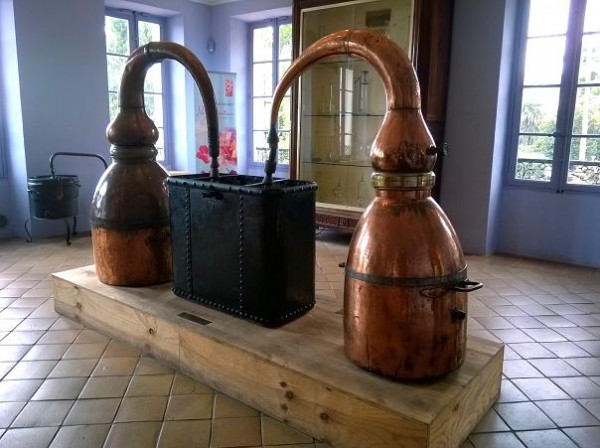 Museo perfume Grasse