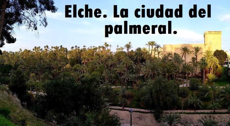 Qué ver en Elche