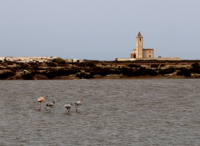 Qué ver en el Cabo de Gata