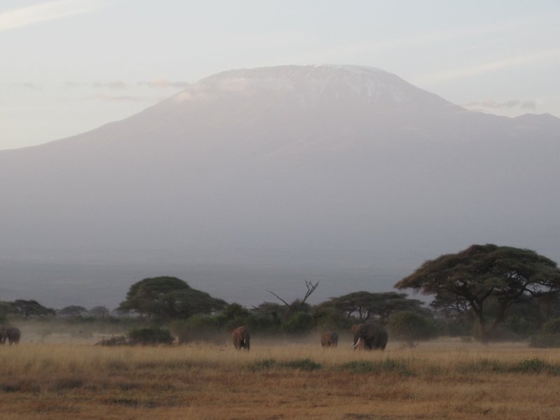 Volcanes famosos - Kilimanjaro