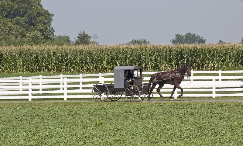 Amish