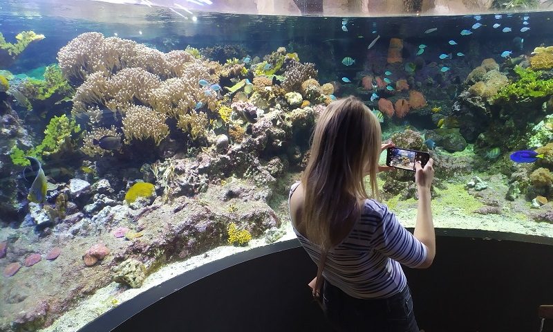 Visitar el Acuario de Génova