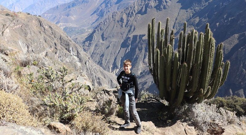 Que ver en Cañón del Colca