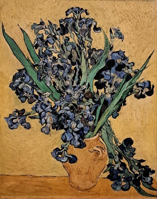 Museo Van Gogh - Iris
