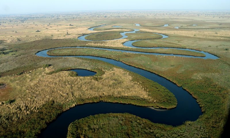 Delta del Okavango