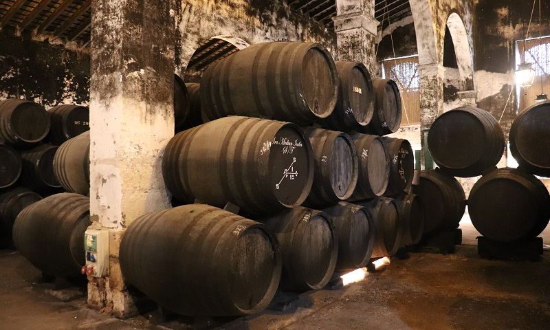 Visitar las Bodegas Osborne